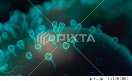 食中毒の原因となる細菌 食中毒の原因となる細菌 111369866