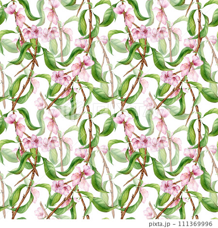 Watercolor branch of cherry tree with pink flowers seamless pattern isolated on white. Blossom fruit tree branch hand drawn. Design element for packaging, cosmetic, backdrop, wallpaper, textile 111369996