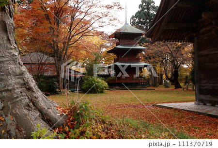 神社境内の紅葉と三重塔 神社境内の紅葉と三重塔 111370719