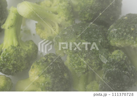 ブロッコリー 冷凍野菜 ブロッコリー 冷凍野菜 111370728