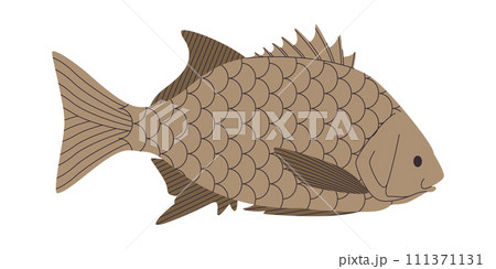 brown color fat fish wild nature saltwater animal ocean habitat marine environment brown color fat fish wild nature saltwater animal ocean habitat marine environment 111371131
