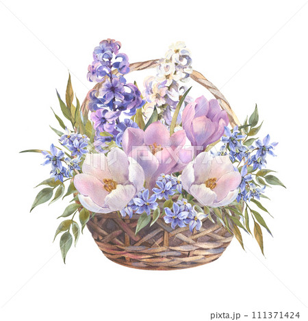 Happy Easter basket with spring flowers, willows, colorful eggs, hand drawn watercolor illustration. Vintage style. Drawing on isolated white background for greeting cards or invitations 111371424