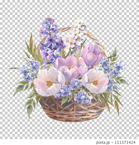 Happy Easter basket with spring flowers, willows, colorful eggs, hand drawn watercolor illustration. Vintage style. Drawing on isolated white background for greeting cards or invitations 111371424