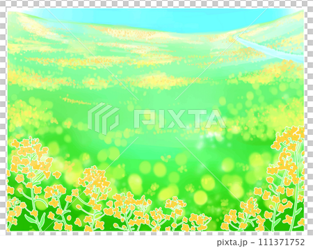 春天的油菜花田 春天的油菜花田 111371752