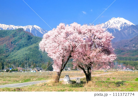常念道祖神と常念岳 111372774