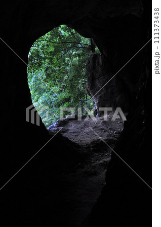 Hidden remote cave entrance in the forest from inside 111373438