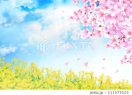 桜と菜の花畑　風景 111373523