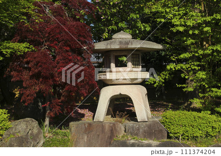 灯篭のある日本庭園 111374204