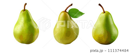 Pear vector set isolated on white background Pear vector set isolated on white background 111374484