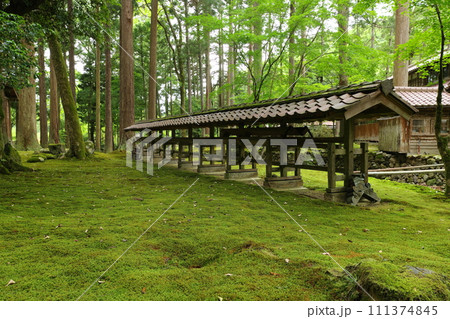 日用苔の里　日用神社　石川県小松市日用町 111374845
