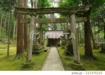 日用苔の里　日用神社　石川県小松市日用町 111375225