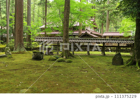 日用苔の里 日用神社 石川県小松市日用町 日用苔の里 日用神社 石川県小松市日用町 111375229
