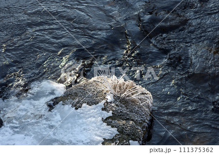 冬晴れの奥日光湯の湖。白い雪面が目に眩しい。穏やかな冬のひとときを過ごした。 111375362