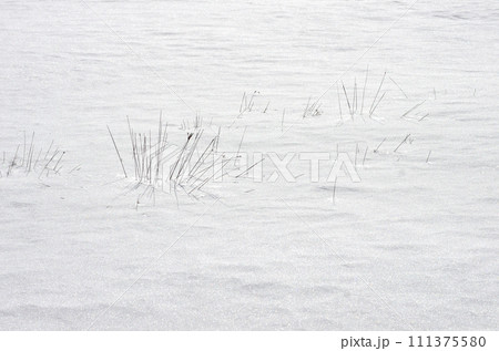 冬晴れの奥日光の雪原、スノーシューを付けてハイキングだ。白い雪が目に眩しい。 冬晴れの奥日光の雪原、スノーシューを付けてハイキングだ。白い雪が目に眩しい。 111375580