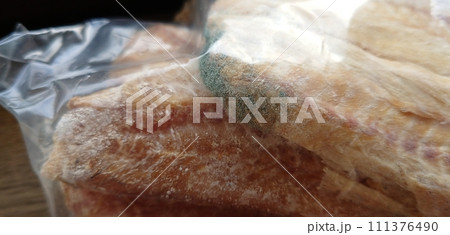 保存袋の中で生えたカビ 111376490