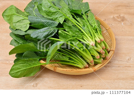 ホウレン草、ほうれんそう、ほうれんそう、ホウレンソウ、緑黄色野菜、葉物野菜。 111377104
