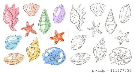 Set of seashell in line art style. Undersea shells of starfish, scallop, conch, spiral. Blue color. Vector illustration. Set of seashell in line art style. Undersea shells of starfish, scallop, conch, spiral. Blue color. Vector illustration. 111377359