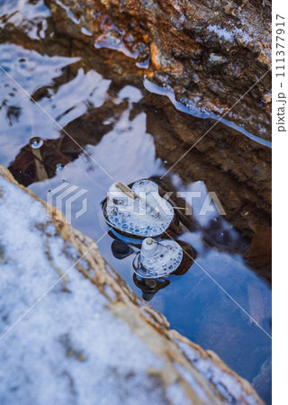 【麻績川】氷の親子【差切峡】 111377917