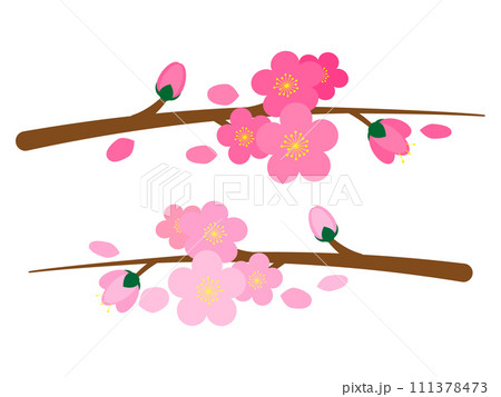 シンプルな桃の花のイラスト 111378473