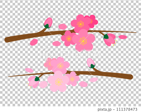 シンプルな桃の花のイラスト 111378473