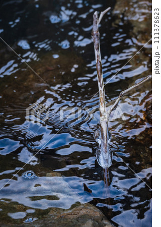 【麻績川】可愛い氷【差切峡】 111378623