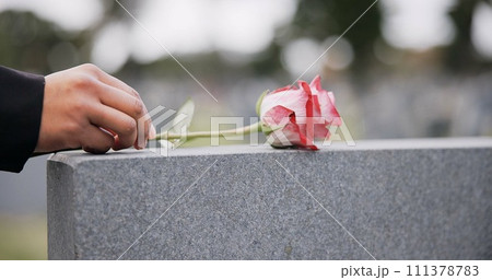 Funeral, cemetery and hands with rose on tombstone for remembrance, ceremony and memorial service. Depression, sadness and person with flower on gravestone for mourning, grief and loss in graveyard 111378783