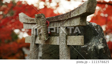 Statue or shrine in forest with spiritual history, Japanese culture and vintage art in nature. Travel, landmark and stone nezu jinja sculpture in woods with stone monument, trees and worship to god Statue or shrine in forest with spiritual history, Japanese culture and vintage art in nature. Travel, landmark and stone nezu jinja sculpture in woods with stone monument, trees and worship to god 111378825