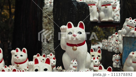 Lucky cat, figure and Shinto temple with shrine, culture or forest for wish, faith or zen in environment. Animal, toys and peace with religion, worship or Buddhism with icon, symbol or wave in Japan 111378892