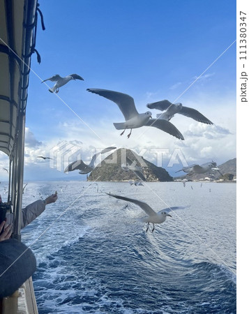 カモメが飛ぶ海、餌やり カモメが飛ぶ海、餌やり 111380347