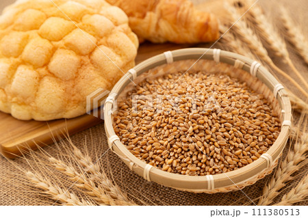 小麦とパン 111380513