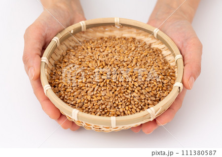 小麦を持つ女性の手 111380587