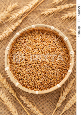 小麦 111380591