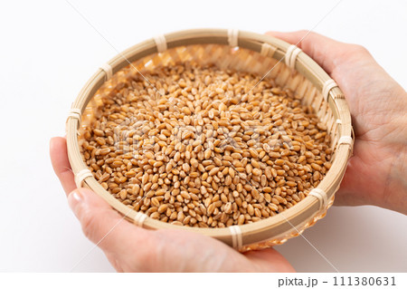 小麦を持つ女性の手 111380631