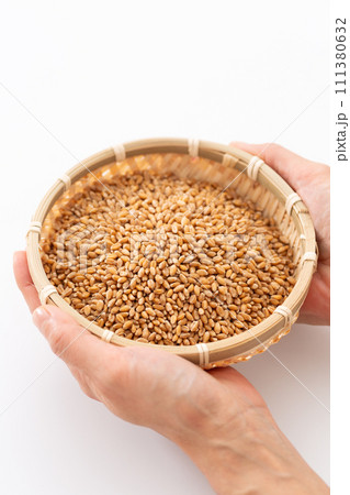 小麦を持つ女性の手 111380632