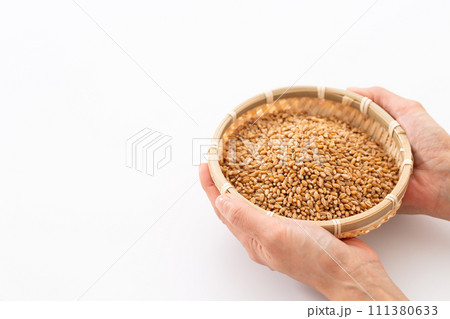 小麦を持つ女性の手 111380633