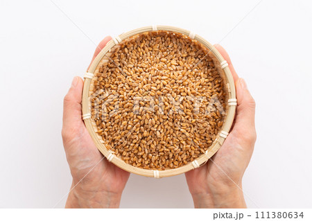小麦を持つ女性の手 111380634