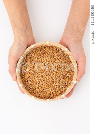 小麦を持つ女性の手 111380669