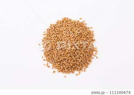 小麦 111380678