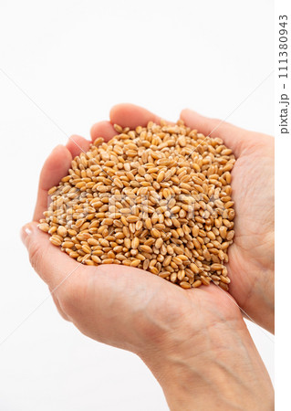 小麦を持つ女性の手 111380943