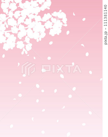 満開の桜と桜吹雪の白いシルエットとグラデーション背景の縦イラスト（ピンク） 111381140