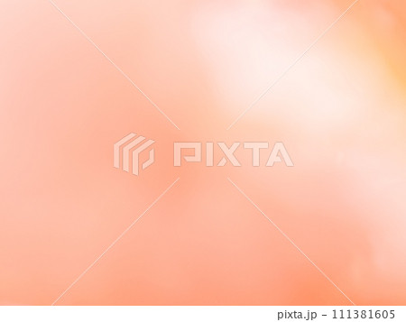 背景素材　カラフルな花びらをモチーフにした柔らかなバックイメージ 111381605