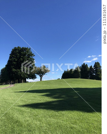 青天の緑の丘　　　　　～Blue sky green hill～ 111381657