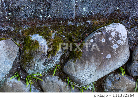 苔の付いた古い丸石の石垣 111382264