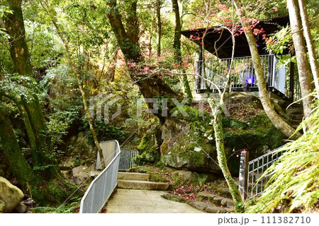 湯河原町 万葉公園湯河原惣湯川の道とテラス 湯河原町 万葉公園湯河原惣湯川の道とテラス 111382710