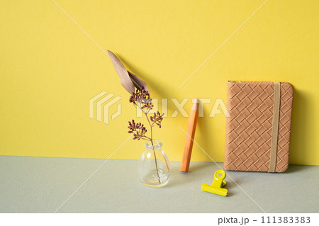 Diary notebook, colored pencil, clip, vase of dry flower on gray desk. yellow wall background. workspace Diary notebook, colored pencil, clip, vase of dry flower on gray desk. yellow wall background. workspace 111383383