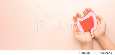 Hand holding large intestine organ made form paper on beige background. Concept of healthy bowel digestion, colon cancer screening, intestinal disease treatment or colorectal cancer awareness. 111383923