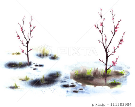 Primary plants flowers, blossoming spring trees of cherry, sakura, apricot or peach on background of melting snow. Hand drawn watercolor landscape Nature awakening after winter isolated illustration  111383984