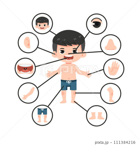 Children with different parts of the body for...のイラスト素材 [111384216] - PIXTA