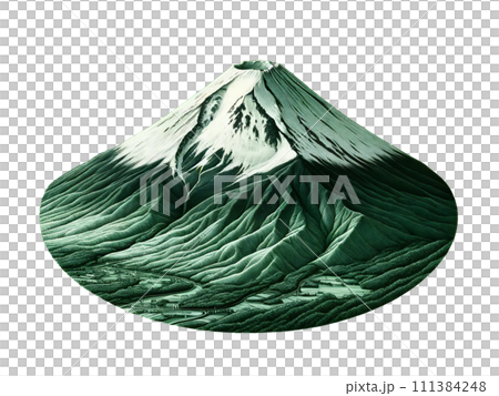 Magnificious Mount Fuji 111384248