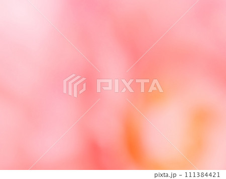 背景素材　カラフルな花びらをモチーフにした柔らかなバックイメージ 111384421